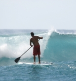 Paddle Surf in Tarifa